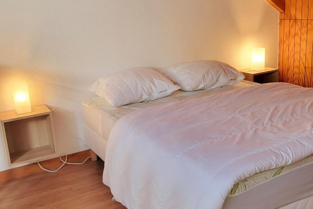 Laveissière Duplex 4/6P Le Familial 아파트 외부 사진